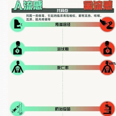 ㌦С֪