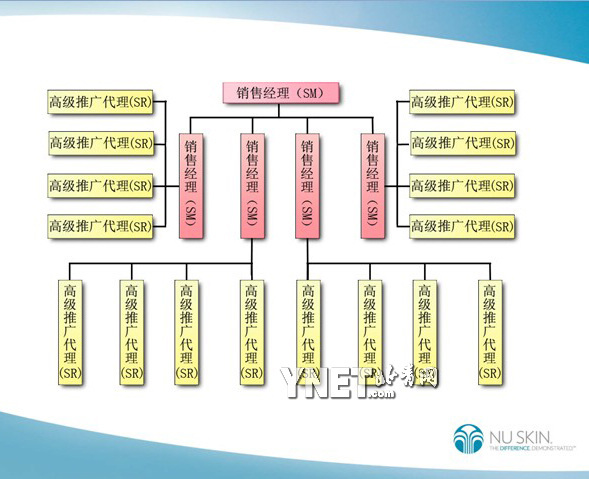 如新代理組織結(jié)構(gòu)圖