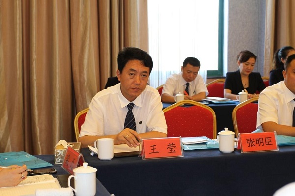 執行總裁王瑩先生發言 執行總裁王瑩先生發言