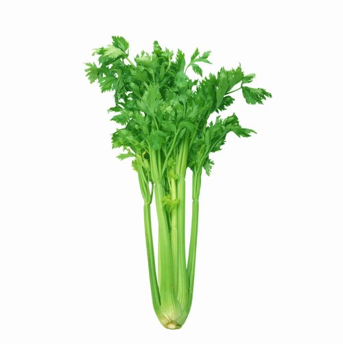 IBWң6NBŶʳ